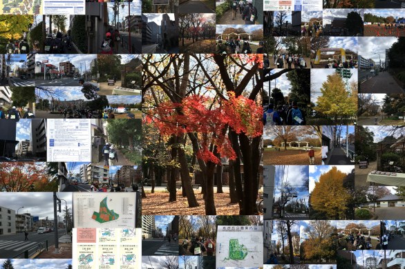 tokyoウオーク2018　哲学道と銀杏並木を抜ける晩秋